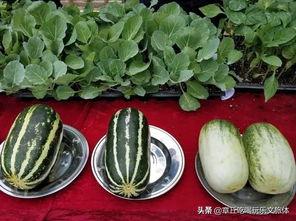 吃瓜的功夫,揭秘娱乐圈幕后风云