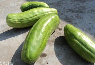 脆瓜怎么吃 脆瓜能吃吗,脆瓜的食用方法与安全性解析