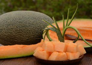 哈密瓜适不适合老人家吃,适合老年人的健康美味选择