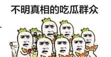 天真吃瓜群众,天真吃瓜群众眼中的明星生活