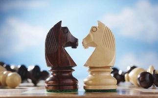 国际局势吃瓜,吃瓜群众看世界