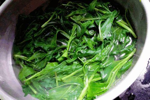 茼蒿跟佛手瓜能一起吃吗,健康搭配的饮食新选择