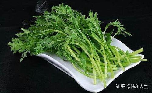 茼蒿跟佛手瓜能一起吃吗,健康搭配的饮食新选择