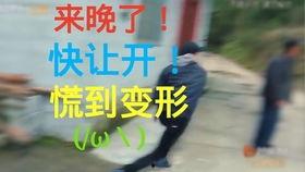 吃瓜日常的日语,揭秘日本街头美食风云