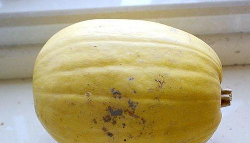 打工小伙买哈密瓜回家吃,哈密瓜带回家