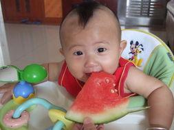 兜风记吃瓜,一场吃瓜盛宴的欢乐之旅