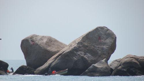 海角破解吃瓜,揭秘吃瓜背后的秘密与乐趣