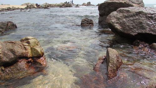 海角破解吃瓜,揭秘吃瓜背后的秘密与乐趣