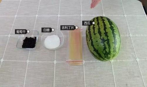 吃大瓜技能,轻松解锁娱乐圈最新动态