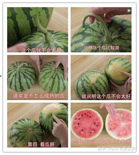 吃瓜视频好看吗