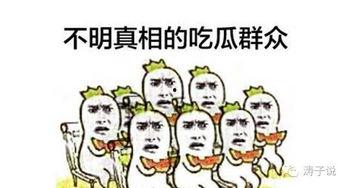 涛子吃瓜,揭秘娱乐圈幕后故事