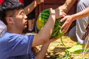 吃瓜摆摆俱乐部,揭秘娱乐圈幕后故事，带你领略明星真实生活