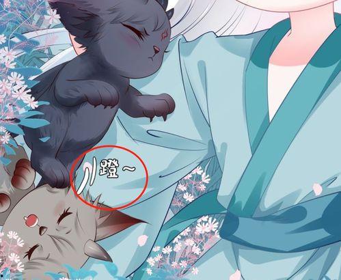 吃瓜群众小狐狸,揭秘娱乐圈那些事儿