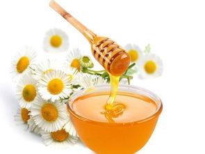 呆瓜吃蜂蜜全集,甜蜜冒险记