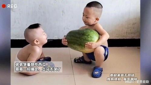 跟弟弟吃瓜,我与弟弟的欢乐吃瓜之旅
